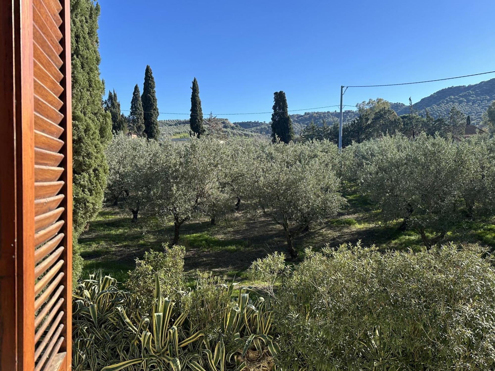 Agriturismo Tenuta Feraudo Labonia Exterior foto